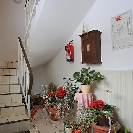 Landhaus Fleischhauer فندق